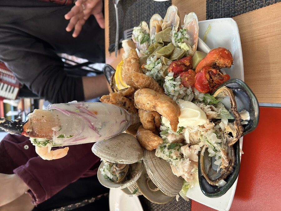 칠레 처갓집 방문기 (6) 15-17일차 : 발파라이소 / 산티아고_15.jpg