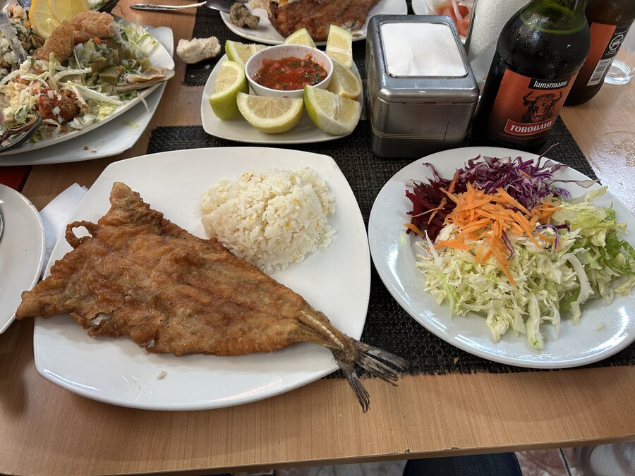 칠레 처갓집 방문기 (6) 15-17일차 : 발파라이소 / 산티아고_16.jpg