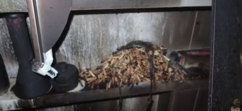 치지직스트리머 얍얍 실내흡연 화재 타임라인 직이네_4.png