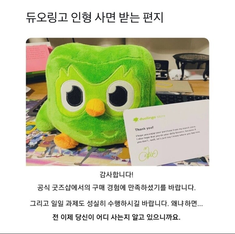 듀오링고 인형 사면 받는 편지.jpg_1.png