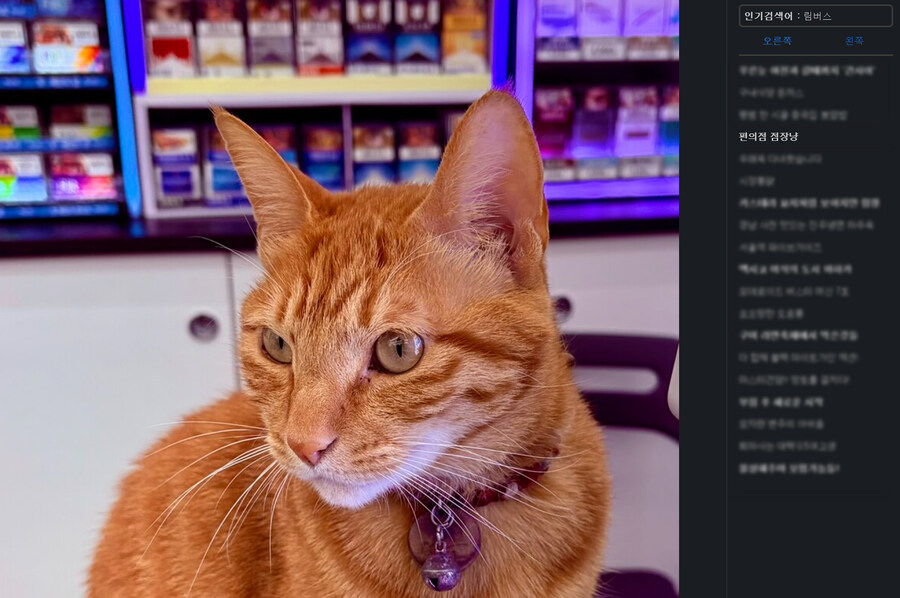 편의점 점장냥_4.jpg