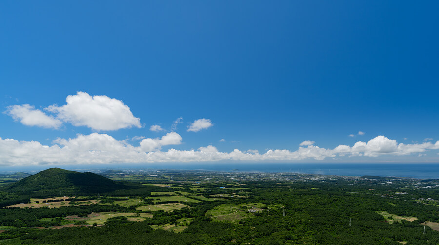 2025년 제주의 풍경들_7.jpg