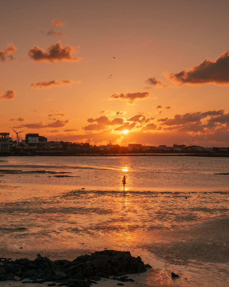 2025년 제주의 풍경들_17.jpg