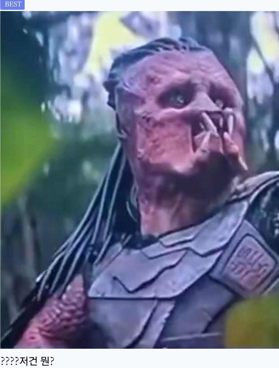 프레데터)의외로 얼굴에 감정과 기분이 보이는 외계종족_1.jpg