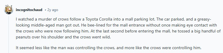 애스크레딧)대낮에 본 것 중 가장 소름 끼치는 건 뭐였어?(1/5)_4.png