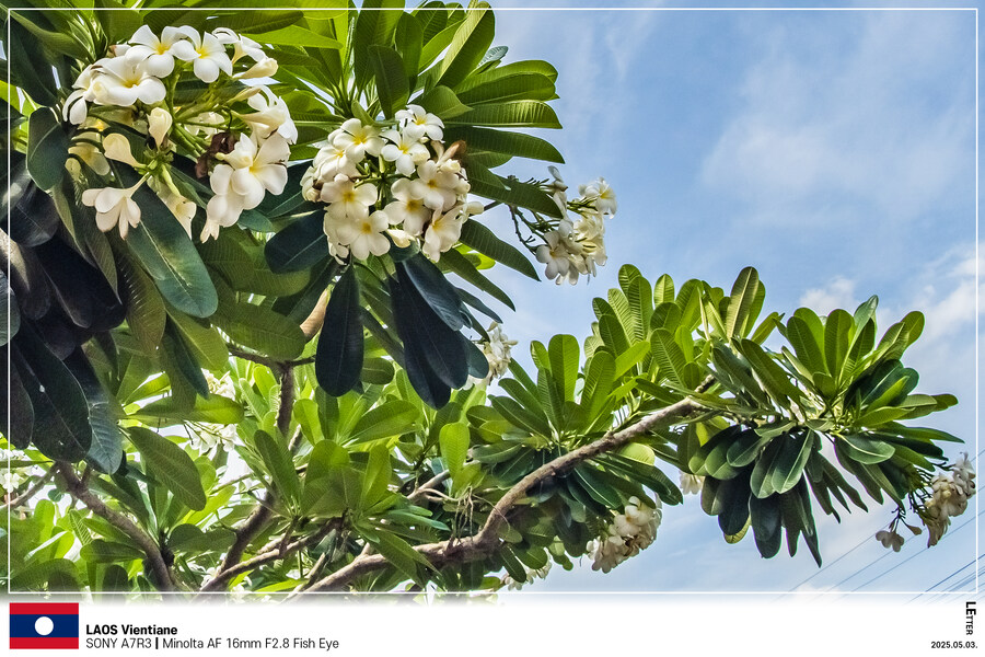 [LAOS] 5월의 라오스 비엔티안 Part III_3.jpg