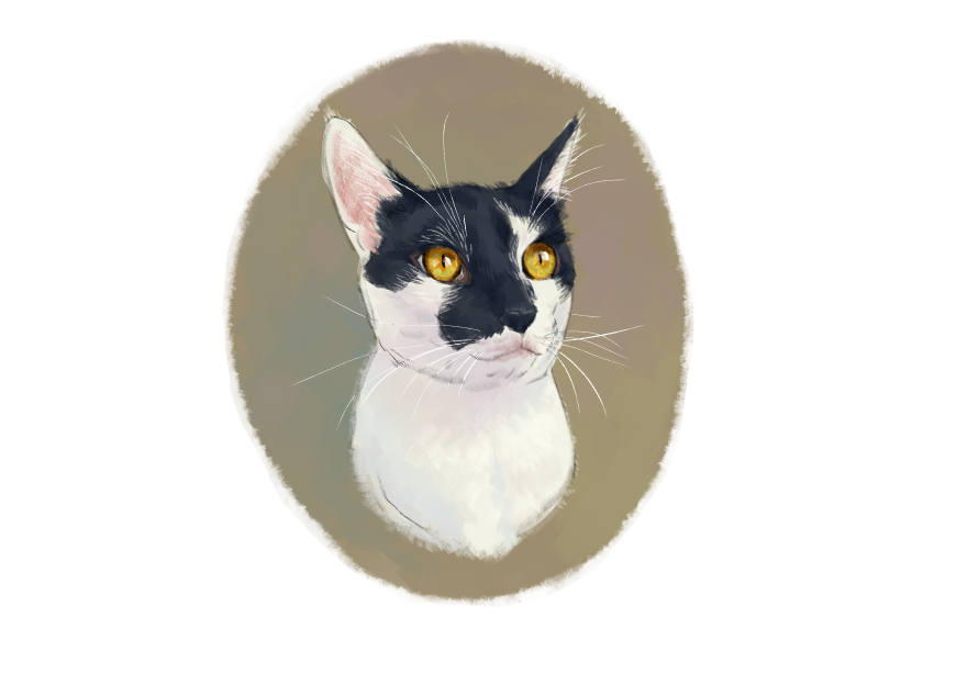 남의집 고양이 보고가이소_1.png