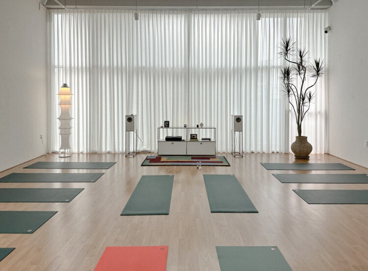 이효리 요가원 관련 논쟁거리_3.jpg