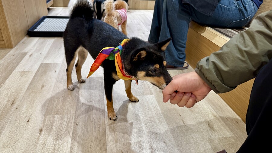 도쿄 일주일 덕질 투어 5일차_29.jpg