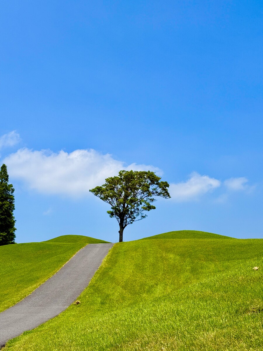 구마모토 골프 여행 음식_9.jpg