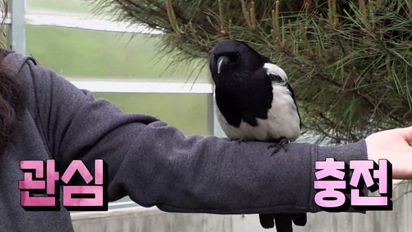 아니 이게 플옵을 가네_1.jpg