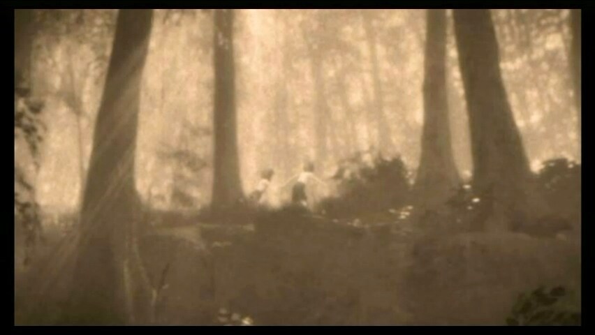 제로 ~ 진홍의 나비(Wii)_34.jpg