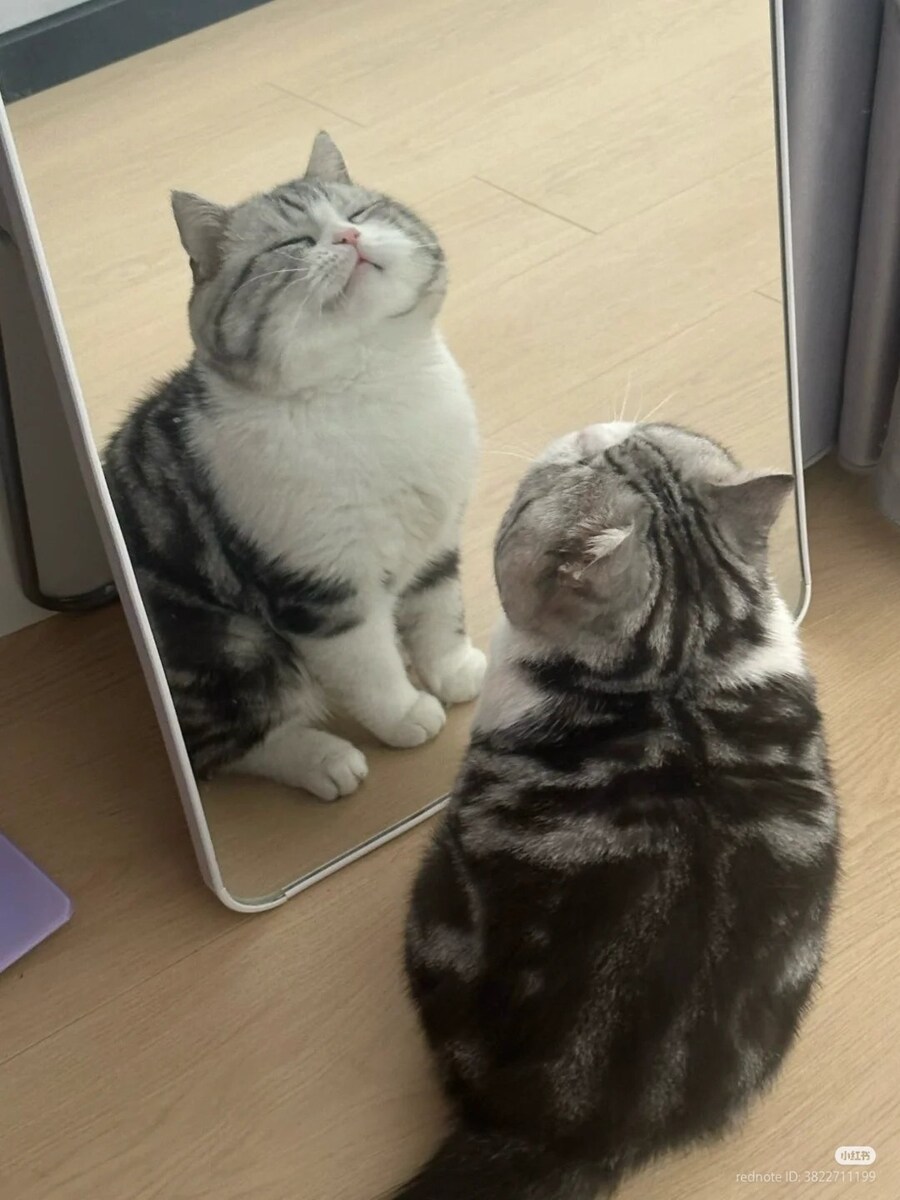 블루아카) 거울 보는 꼬마마리_2.jpg