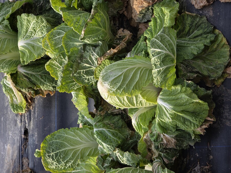 주천 초원가든 생선구이_2.jpg