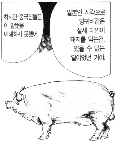 중국인들도 이해못하던 일본인의 기록_2.png