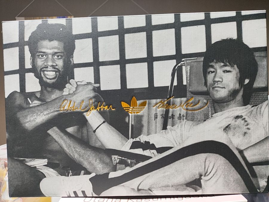 아디다스 자바 로우 X 브루스 리_1.jpg