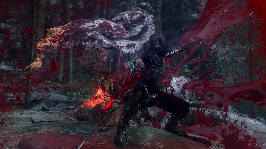 NINJA GAIDEN 4_17.jpg