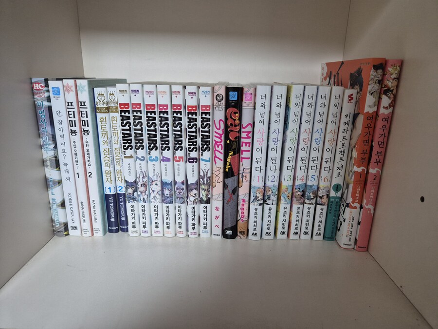 단행본 모은거 봐줘!_1.jpg