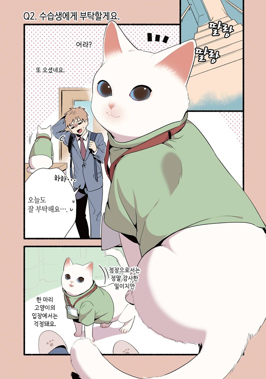 고양이가 마사지해주는 만화_6.jpg