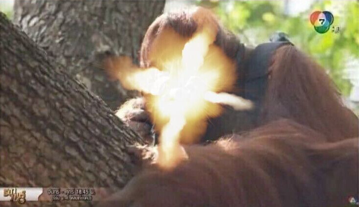 내가 게임을 재미없게 하는건지 흥미가 식은건지_7.jpg