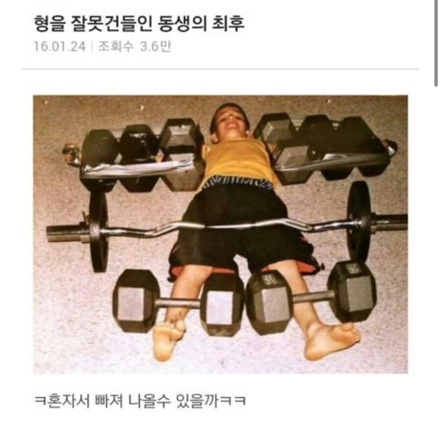 형을 잘못 건드린 동생의 최후.jpg_1.jpg