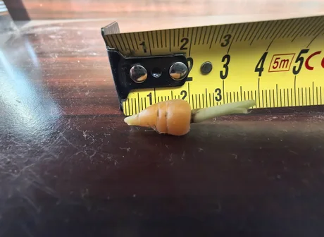 당근 키운거 인터넷에 인증한 사람_1.webp