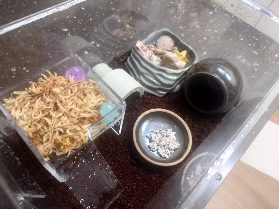 아무도 안궁금할 달팽이집_2.jpg