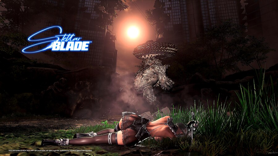 요르하 비공식 모음_45.png