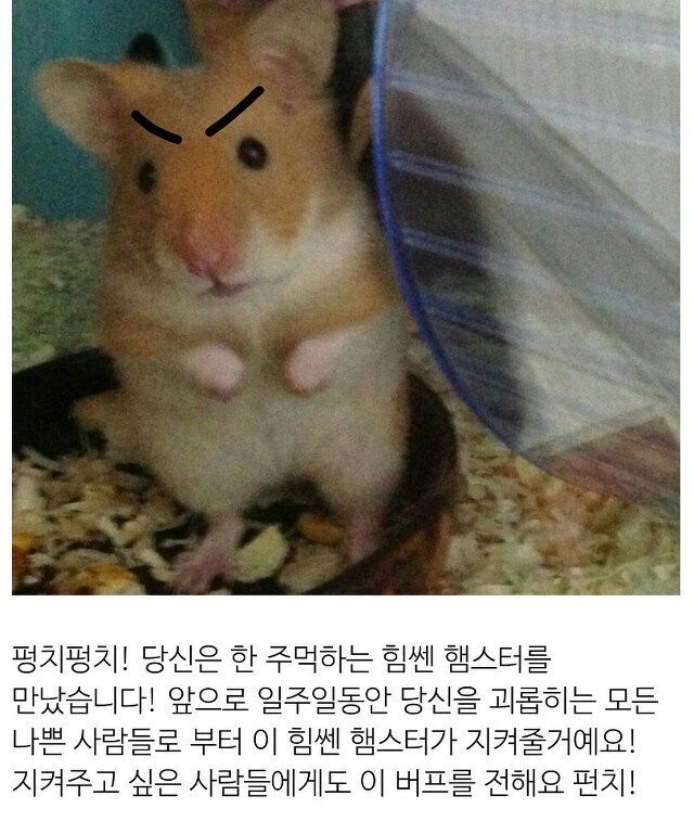앗, 햄돌이가 일주일을 시작하는 여러분을 응원해요!_1.jpg