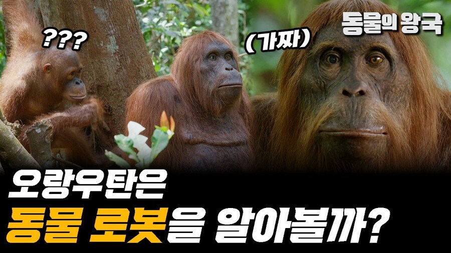 외계인 관련 갑자기 든 의문_1.jpg