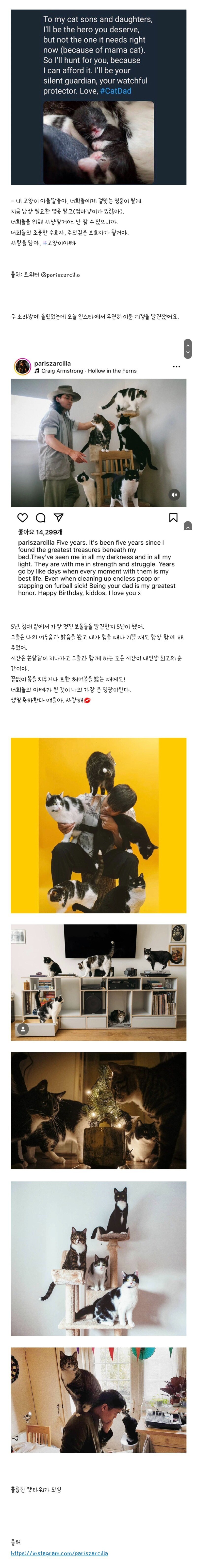 우울증 환자 집에 고양이 가족이 무단침입_3.jpg