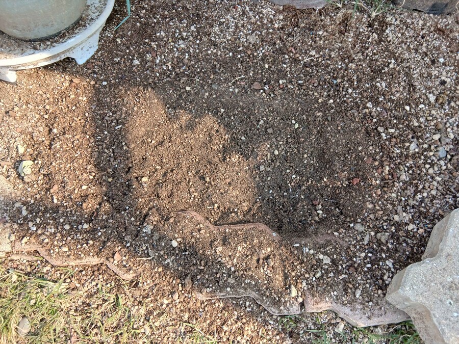 리노아 몰래 이름표붙은 닭들 올려야지_1.jpg