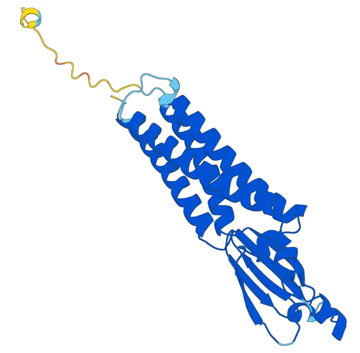 고전 명작 게임 블랙 앤 화이트 게임 특징_4.webp