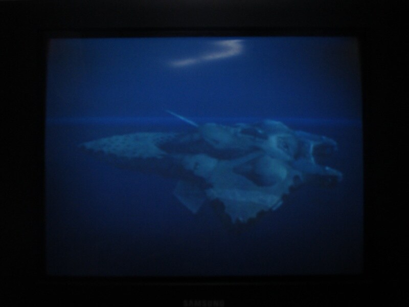 청의 6호 안타티카 (1)_31.jpg