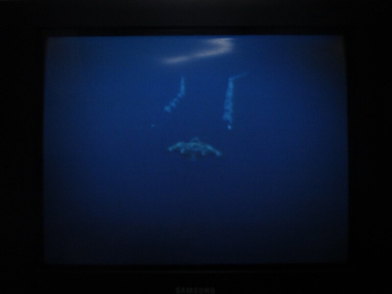 청의 6호 안타티카 (1)_32.jpg