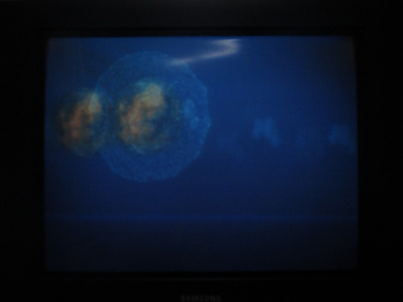 청의 6호 안타티카 (1)_36.jpg