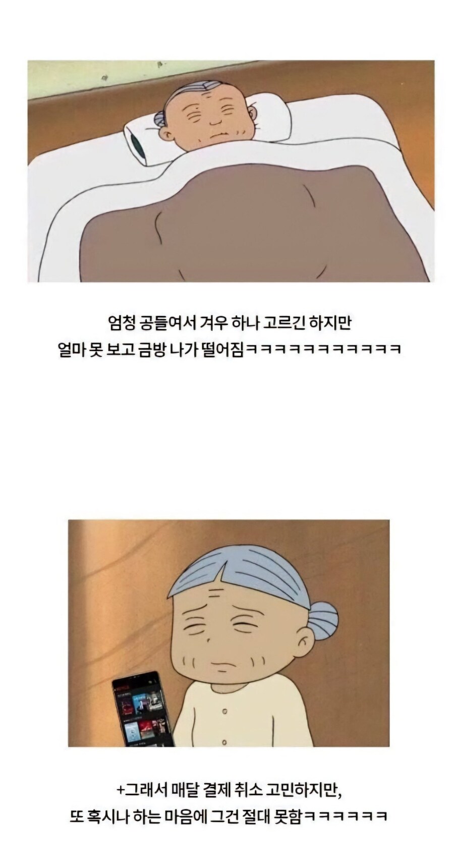 넷플릭스 결제하고 안보는 사람들 특징