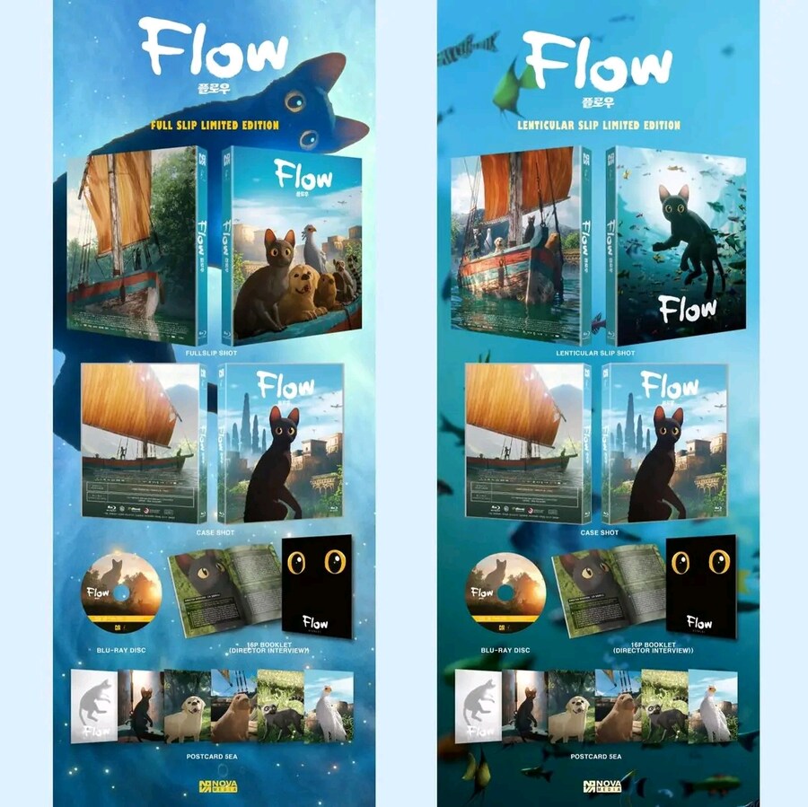 [예약] 플로우 블루레이 출시예정_1.jpg