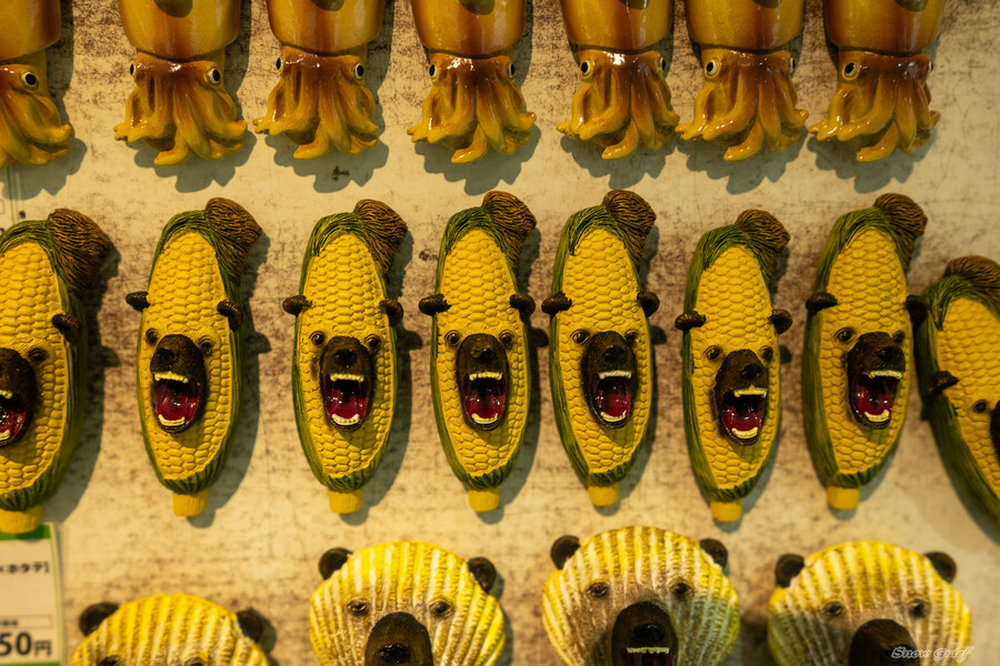 일본 북해도 4박5일 여행기 (스압주의)_21.jpg