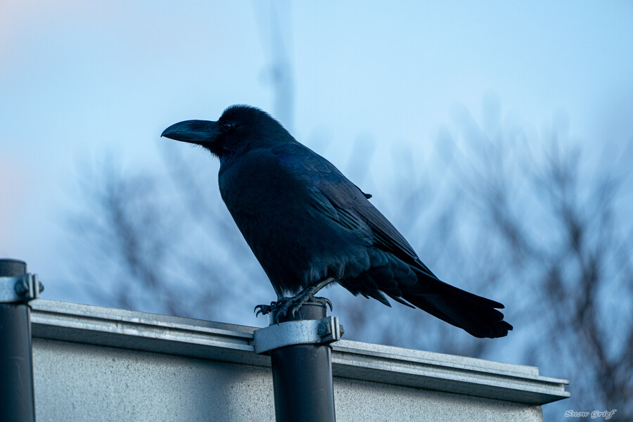 일본 북해도 4박5일 여행기 (스압주의)_50.jpg