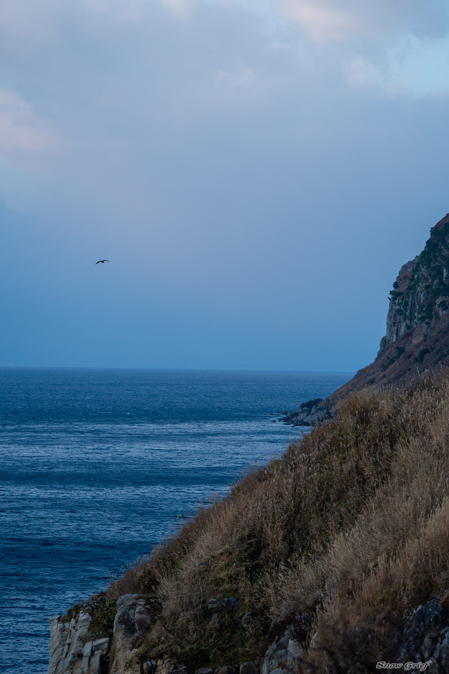 일본 북해도 4박5일 여행기 (스압주의)_72.jpg