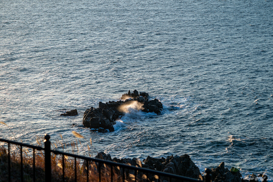 일본 북해도 4박5일 여행기 (스압주의)_74.jpg