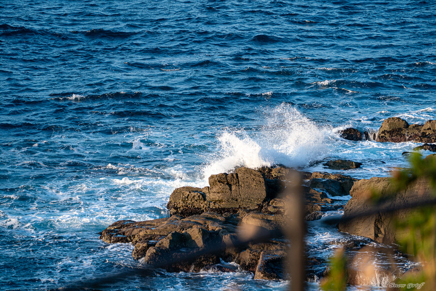 일본 북해도 4박5일 여행기 (스압주의)_75.jpg