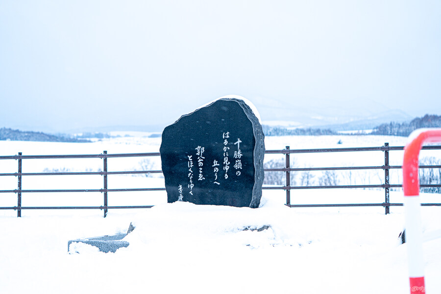 일본 북해도 4박5일 여행기 (스압주의)_197.jpg