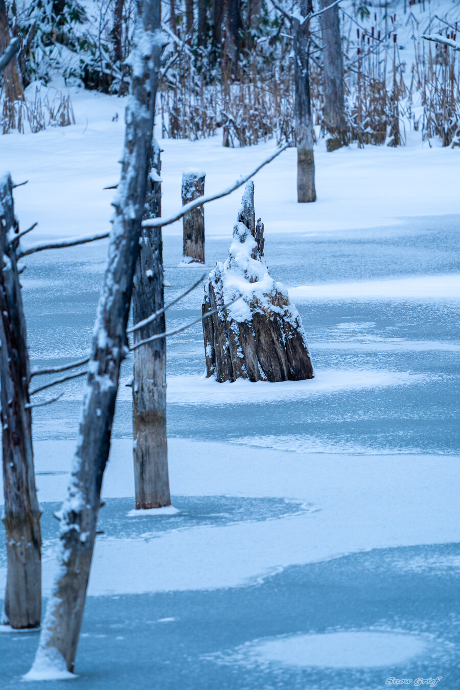 일본 북해도 4박5일 여행기 (스압주의)_215.jpg