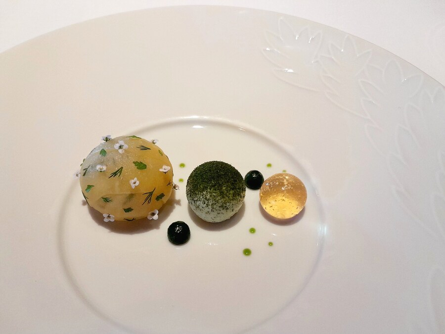 더 가기 힘들어지기전에 라망시크레 by 손종원_10.jpg