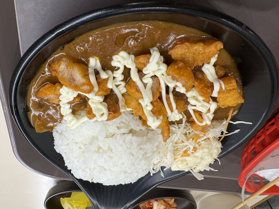 가라아게 카레라이스_2.jpg