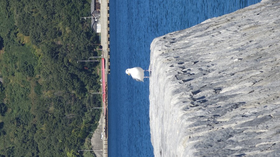 만성소화불량자의 8박9일 히로시마 여행 6,7일차 (쿠레, 미타라이)_99.jpg