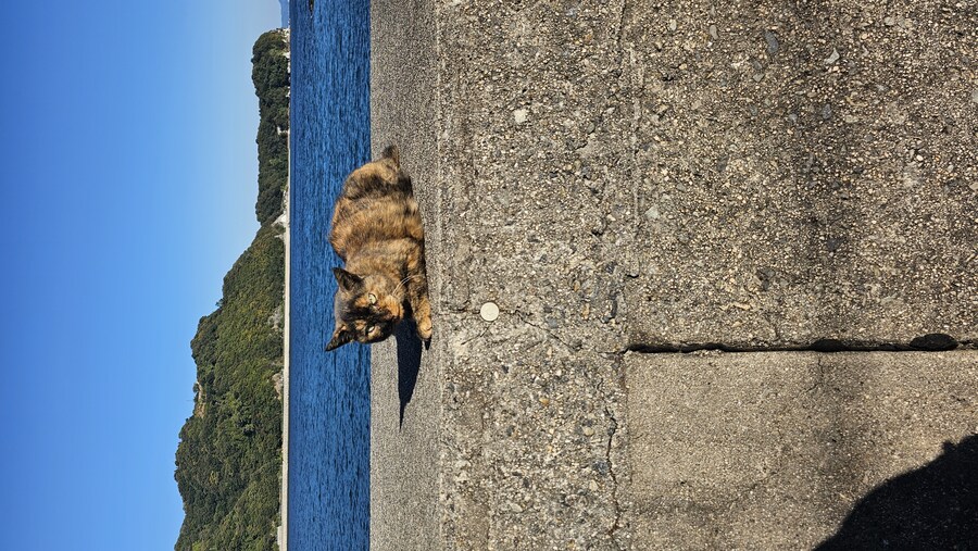 만성소화불량자의 8박9일 히로시마 여행 6,7일차 (쿠레, 미타라이)_193.jpg