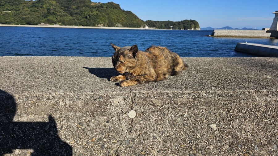 만성소화불량자의 8박9일 히로시마 여행 6,7일차 (쿠레, 미타라이)_194.jpg